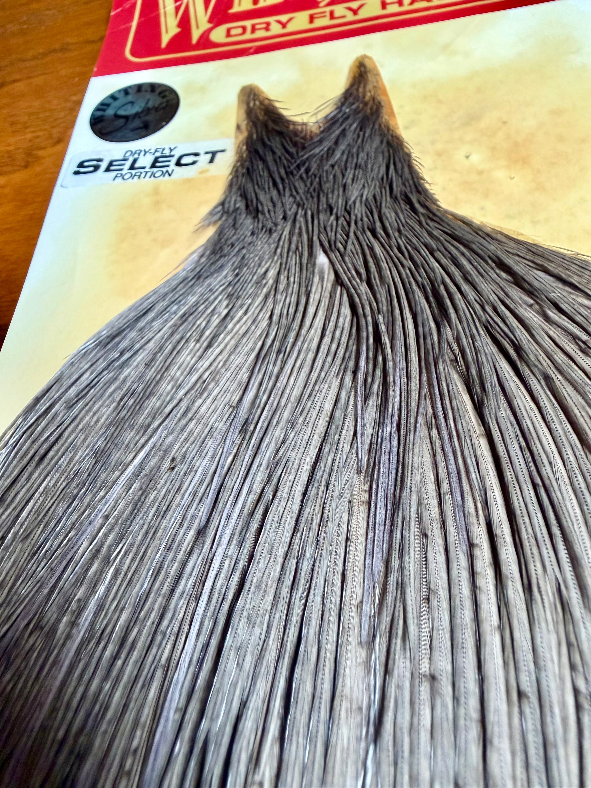 Whiting Farms Silver Grade Select Portion Cape Dark Dyed Dun 777-SH-E-L