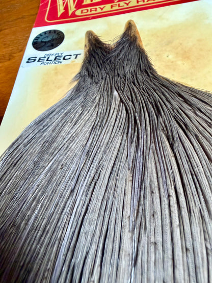 Whiting Farms Silver Grade Select Portion Cape Dark Dyed Dun 777-SH-E-L
