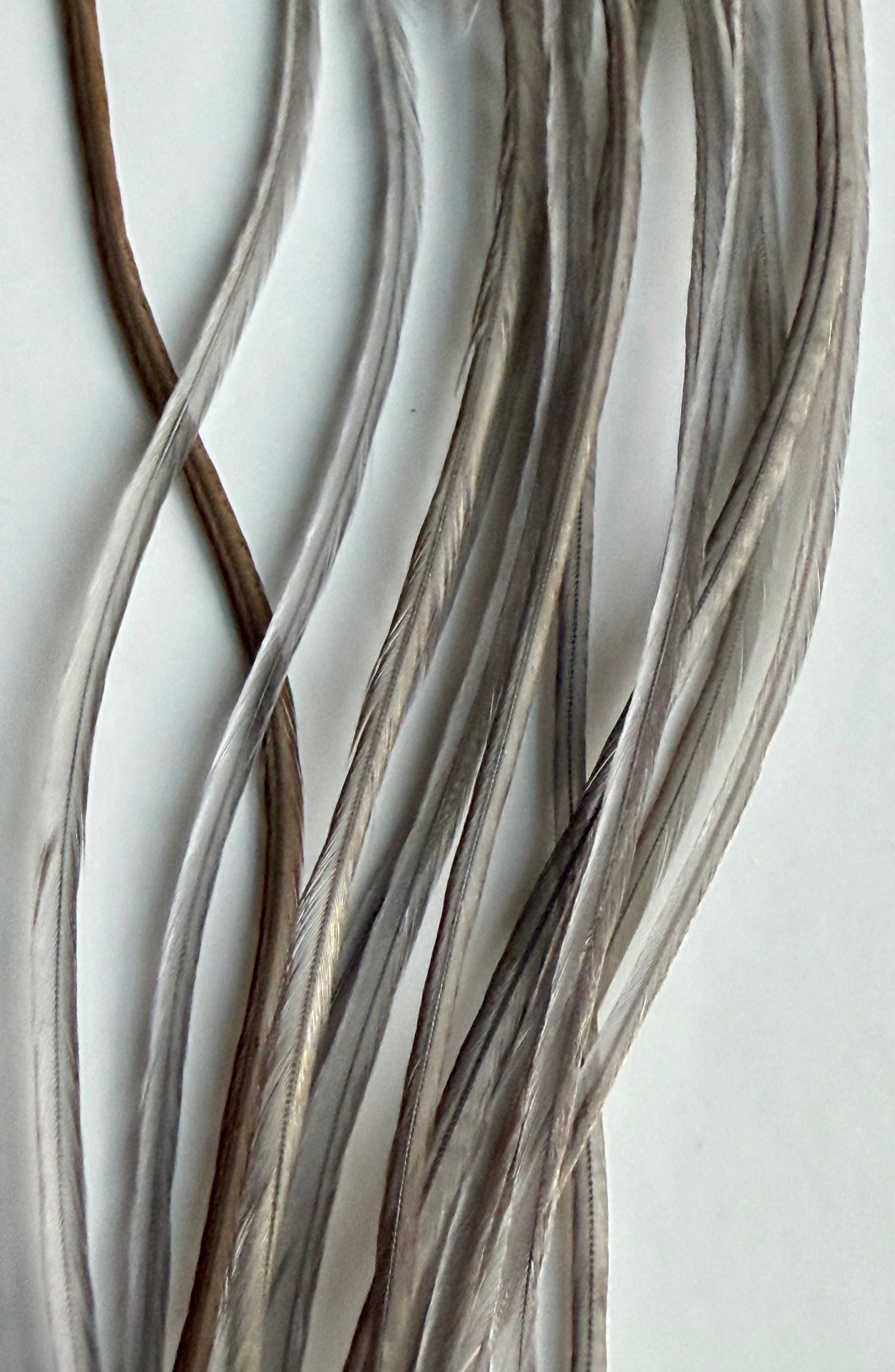 Whiting Dry Fly Hackle 100’s Size 18 Medium Dyed Dun 825-SH-E-L