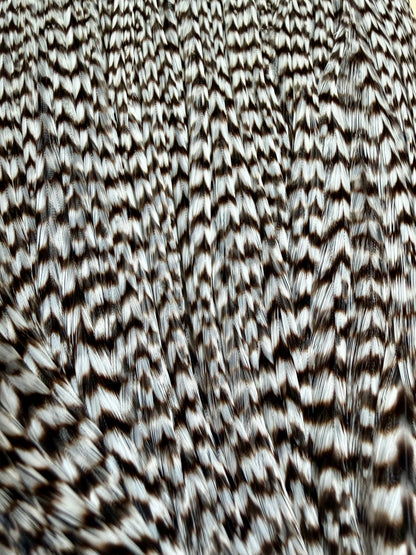 Whiting Gold Grade Rooster Cape Grizzly 788-SH-E-L