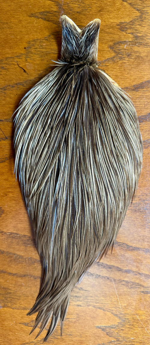 Rooster Cape Unique Variant 696-SH-E-L