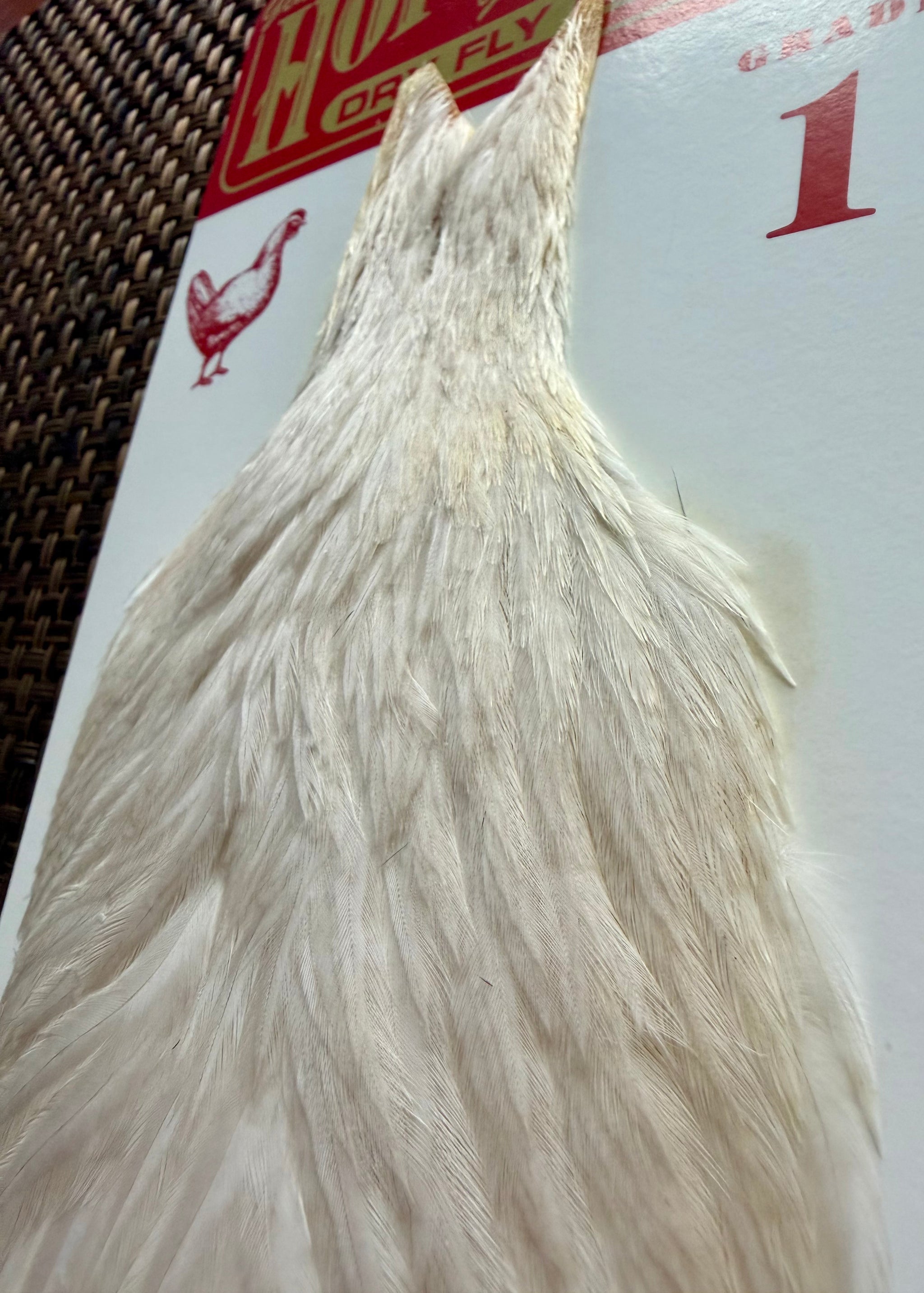 Hoffman Grade 1 Hen Cape White 285-SH-E-L