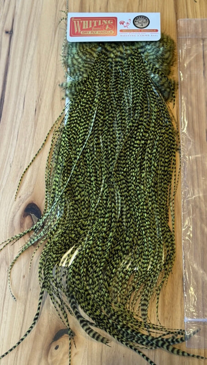 Whiting Farms SILVER Saddle Hackle: GRIZZLY DYED OLIVE 092