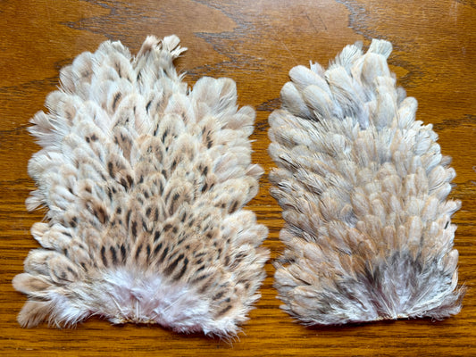 Colorado Angler Supply Hen Saddle Ginger (Set of 2) 548-SH-E-L