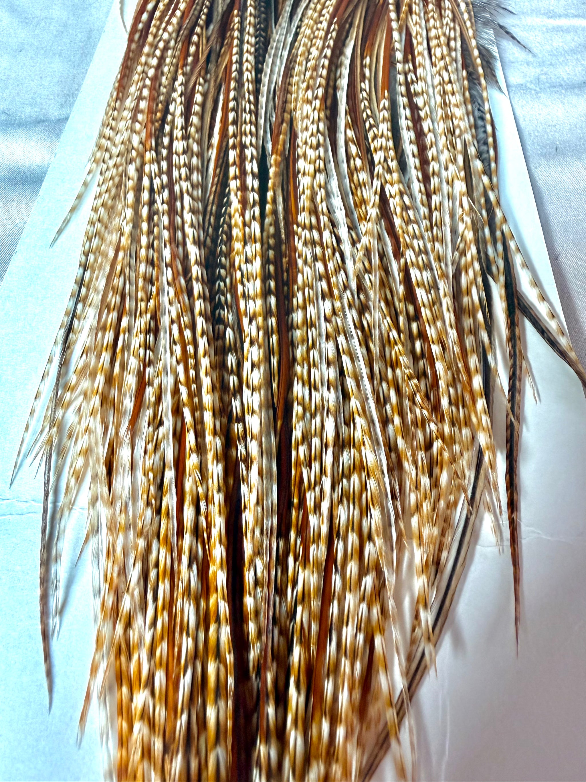 Whiting Silver-Grade Rooster Saddle Barred Dark Ginger 200-SH-E-L