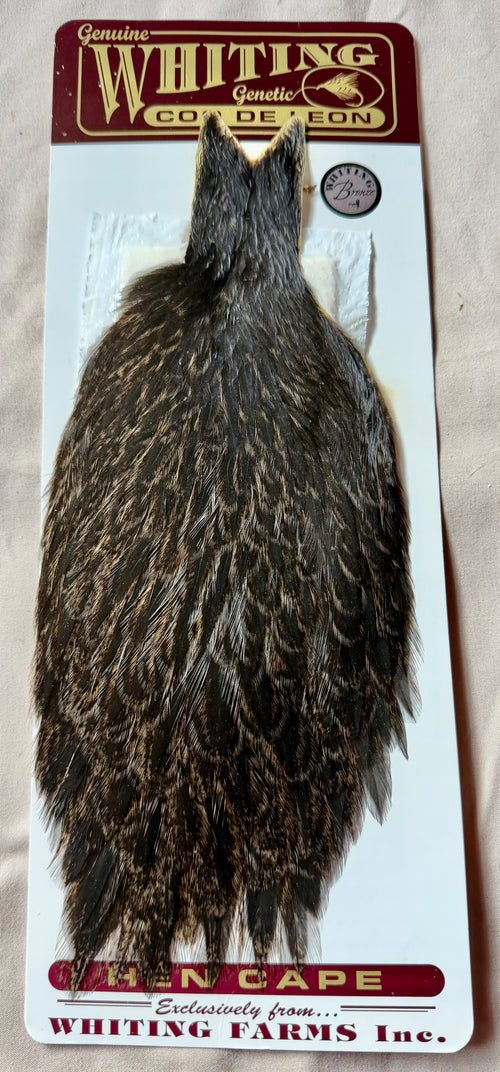 Whiting Farms Bronze grade Coq de Leon Hen Cape  Unique Variant 203-SH-E-L