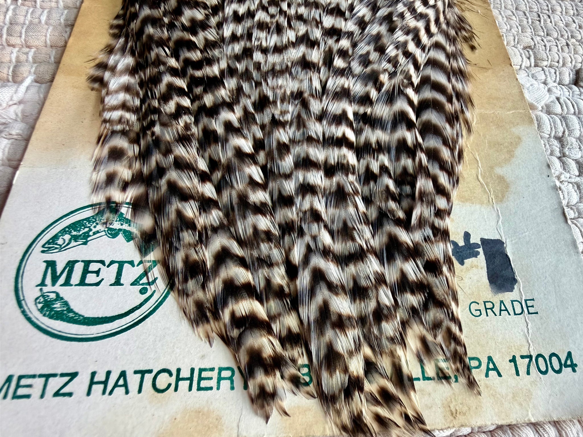 Metz Grade #1 Cape Grizzly 835-SH-E-L