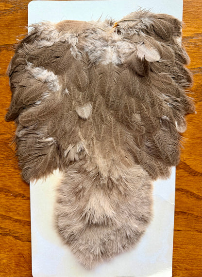 Whiting Brahma Hen Soft Hackle/Chickabou: Mottled White dyed Dark Brown 375-SH-E-L