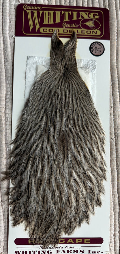 Whiting Coq de Leon Bronze Hen Cape Silver Speckled 749-SH-E-L