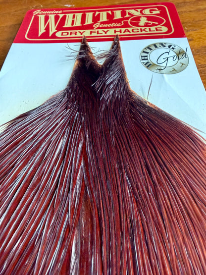 Whiting Gold Grade Rooster Cape Coachman Brown 620-SH-E-L