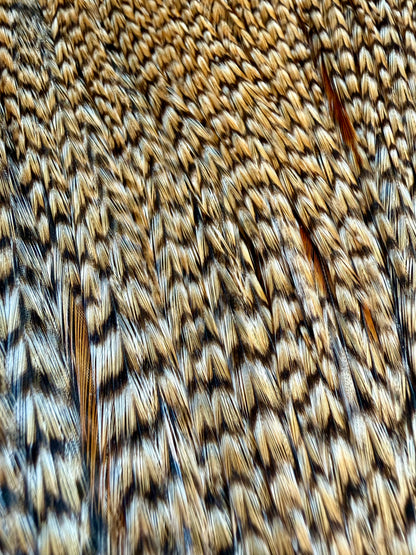 Root River Hackle Grade #1 Cree Cape 693-SH-E-L