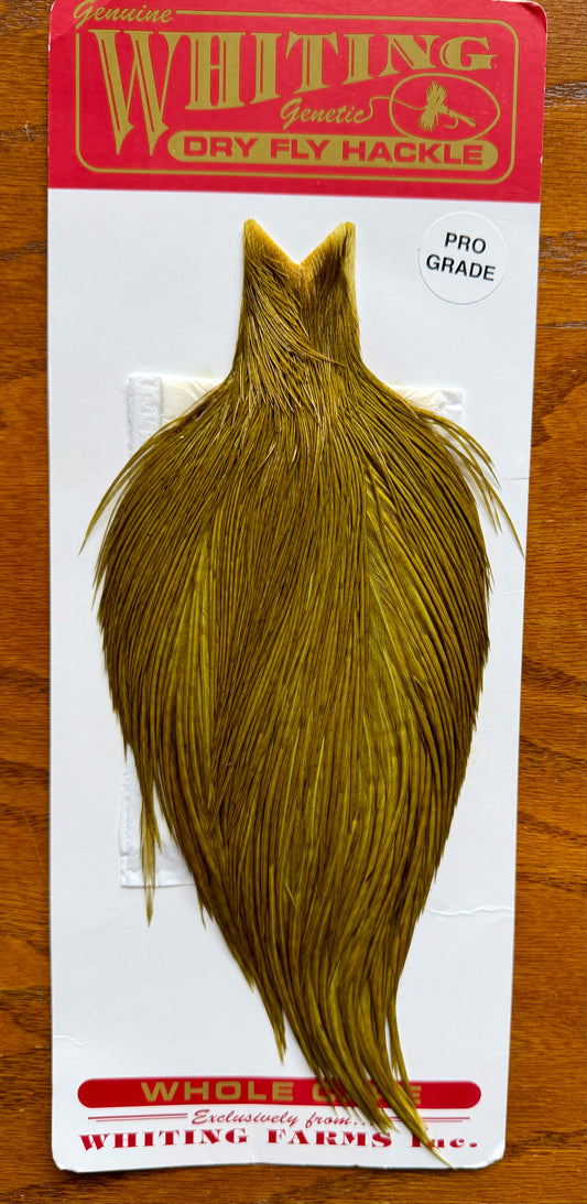 Whiting Farms Pro Grade Cape White Dyed Dark Olive 402-SH-E-L