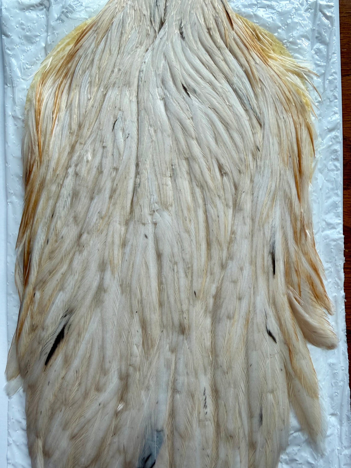 Whiting Farms Hen Cape Pale Watery Dun 364-SH-E-L