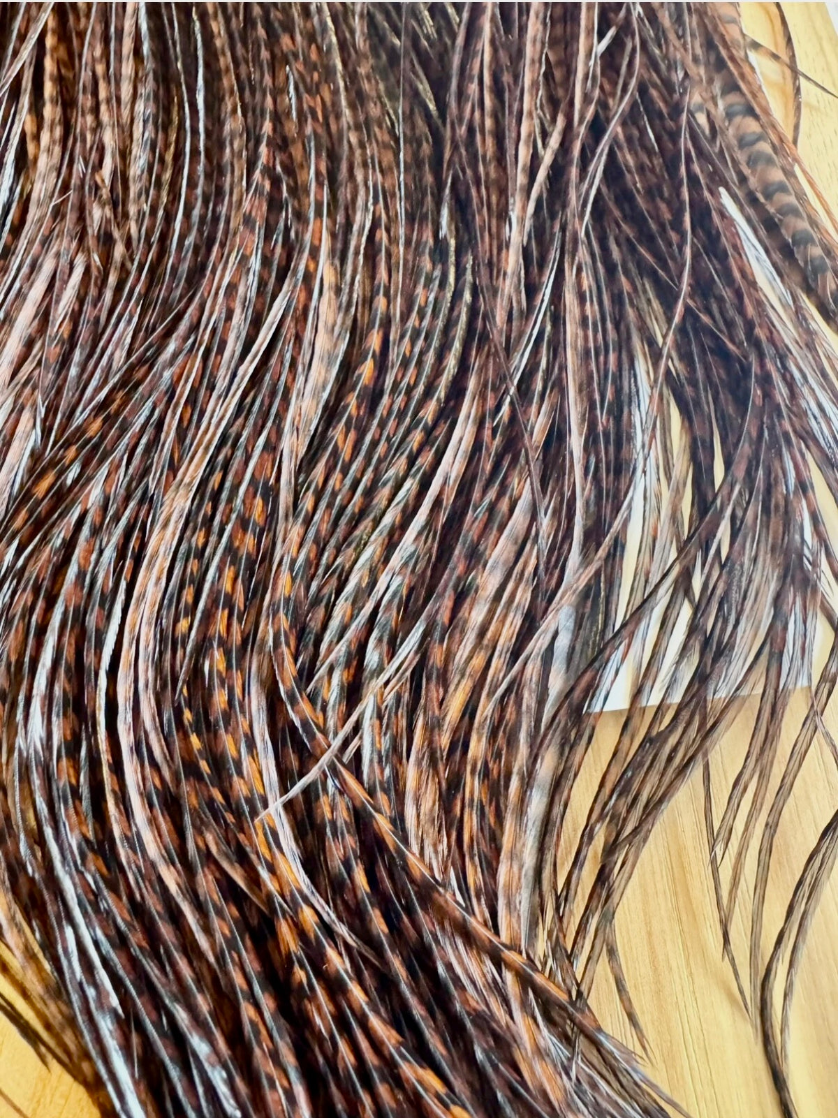 Whiting Farms SILVER Saddle Hackle: GRIZZLY DYED COACHMAN BROWN 076