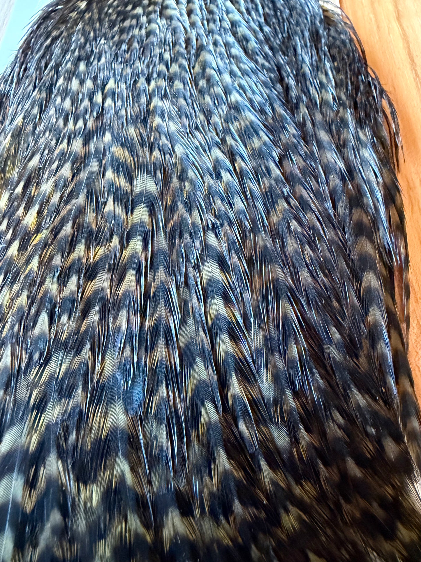 Whiting Farms Hen Cape Grizzly Dyed Dark Olive 393-SH-E-L