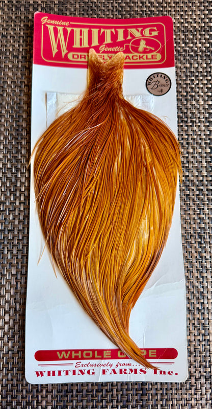 Whiting Dry Hackle Bronze Grade Cape Medium Ginger 585-SH-E-L