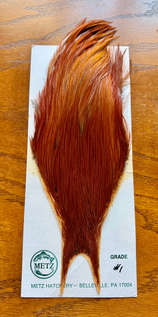 Metz Grade #1 Cape Brown 524-SH-E-L