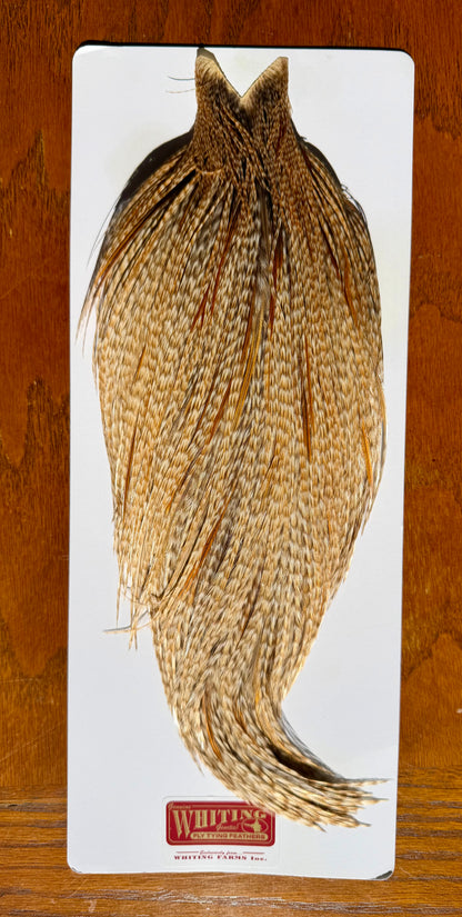 Whiting Grizzly Ginger Cape 683-SH-E-L