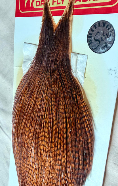 Whiting Farms Silver Rooster Cape Grizzly/Natural Brown 231-SH-E-L