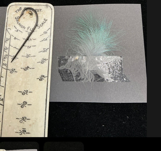 SAPPHIRE TOUCAN FEATHERS- RARE (6)