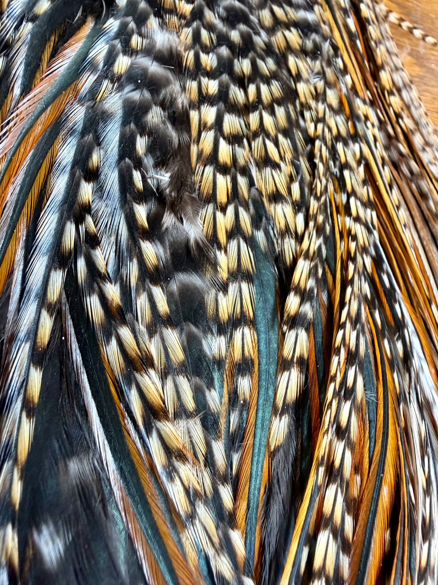 Chanticleer Grade #2 Cree Saddle 700-SH-E-L