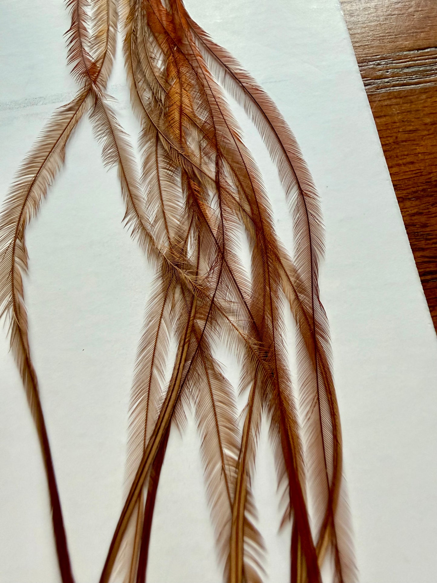 Whiting 100 Fly Pack Size 20 Brown 382-SH-E-L