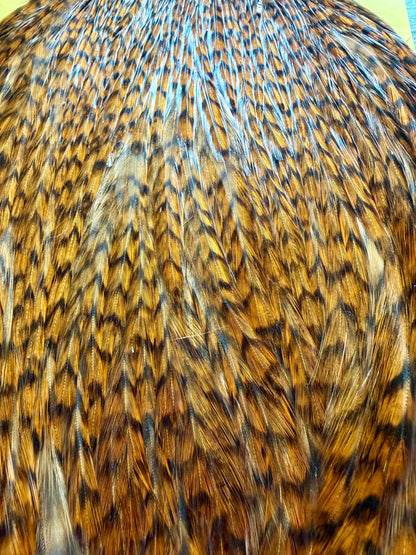 Hareline Dubbin Cape Brown Grizzly 468-SH-E-L