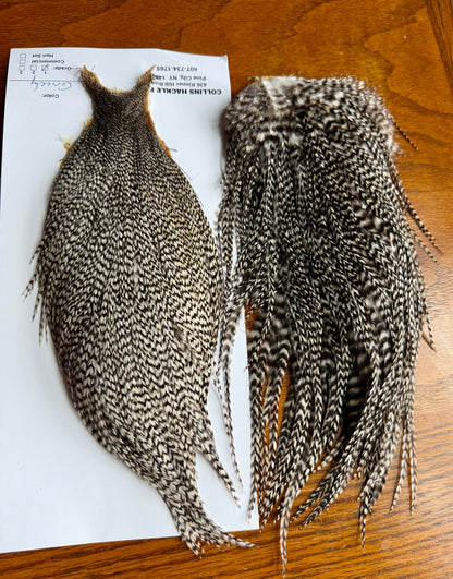 Collin’s Grade 1 Hackle Grizzly Cape And Hackle Set 739-SH-E-L