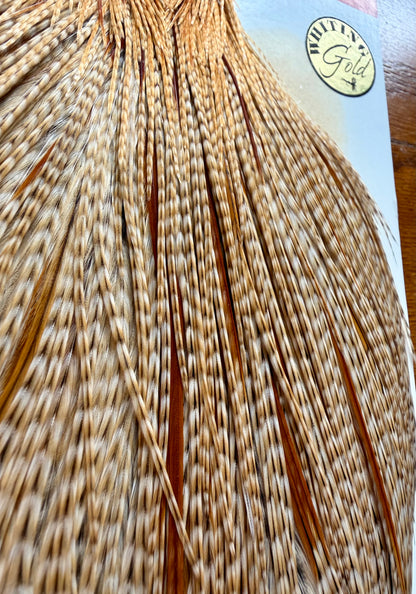 Whiting Gold Grade Rooster Cape Barred Dark Ginger 404-SH-E-L