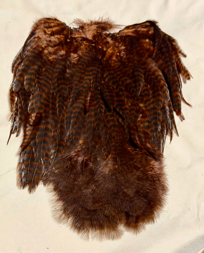 Whiting Farms Soft Hackle Brahma Hen Chickabou Pelt Grizzly dyed Coachman Brown 208-SH-E-L