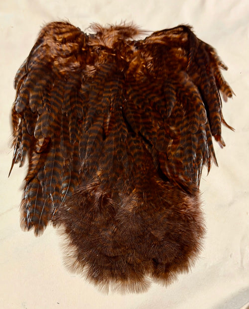 Whiting Farms Soft Hackle Brahma Hen Chickabou Pelt Grizzly dyed Coachman Brown 208-SH-E-L