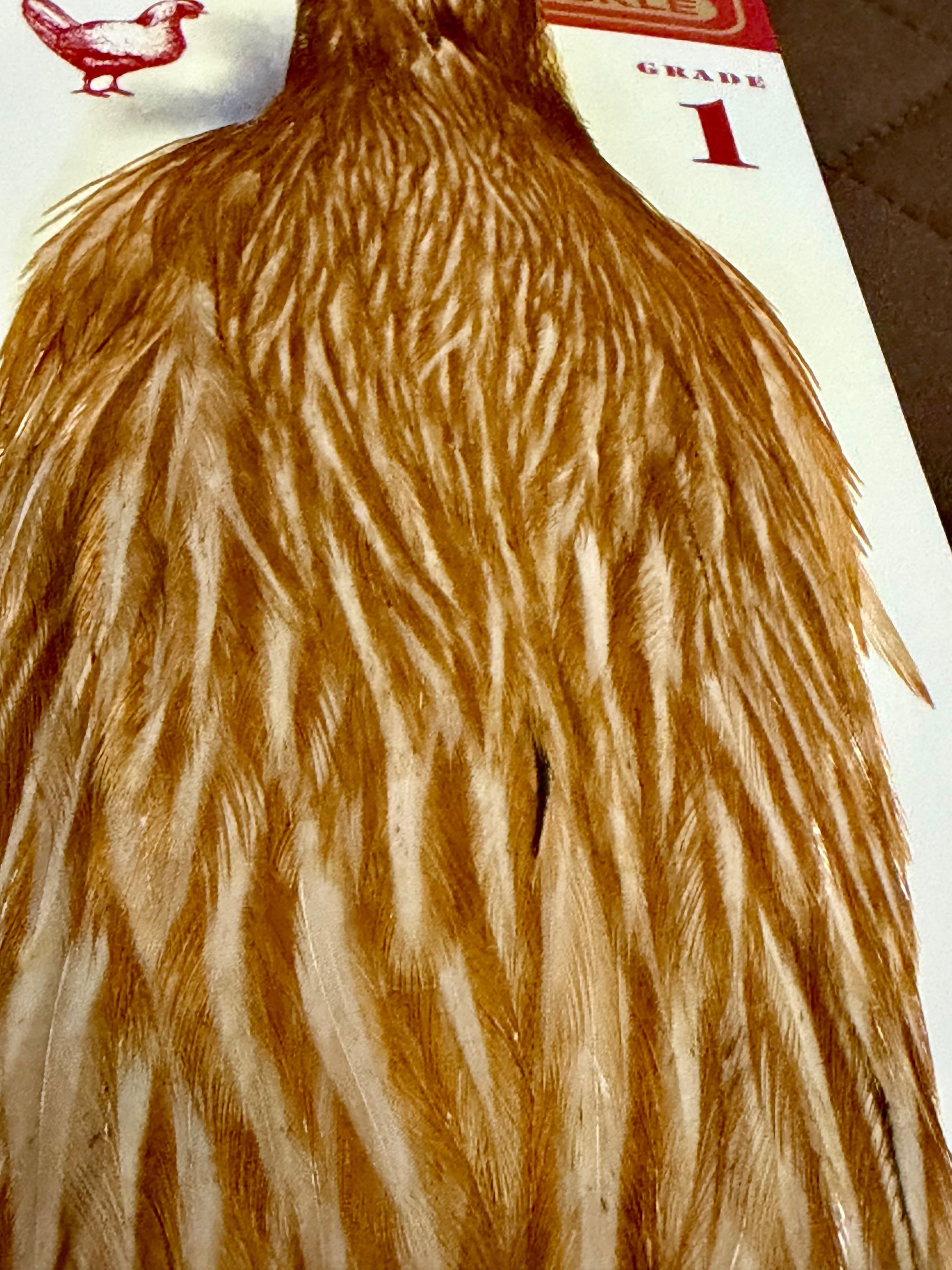 Hoffman Grade 1 Hen Cape Honey Dun 282-SH-E-L