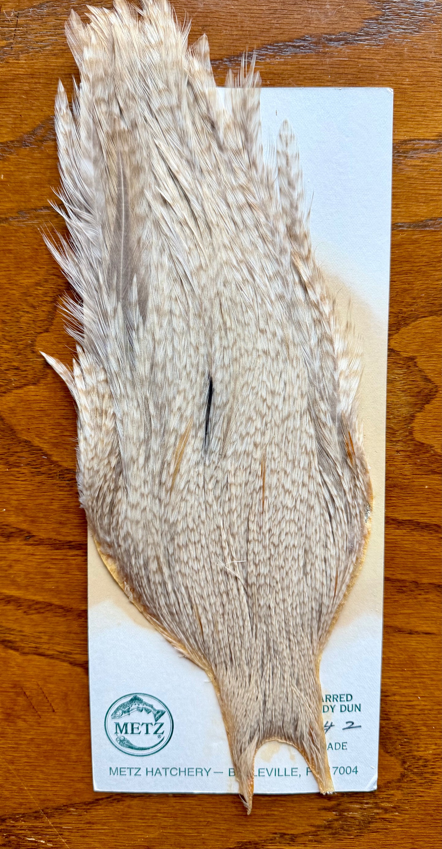 Metz Grade #2 Cape Barred Sandy Dun 413-SH-E-L