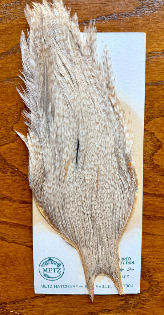 Metz Grade #2 Cape Barred Sandy Dun 413-SH-E-L