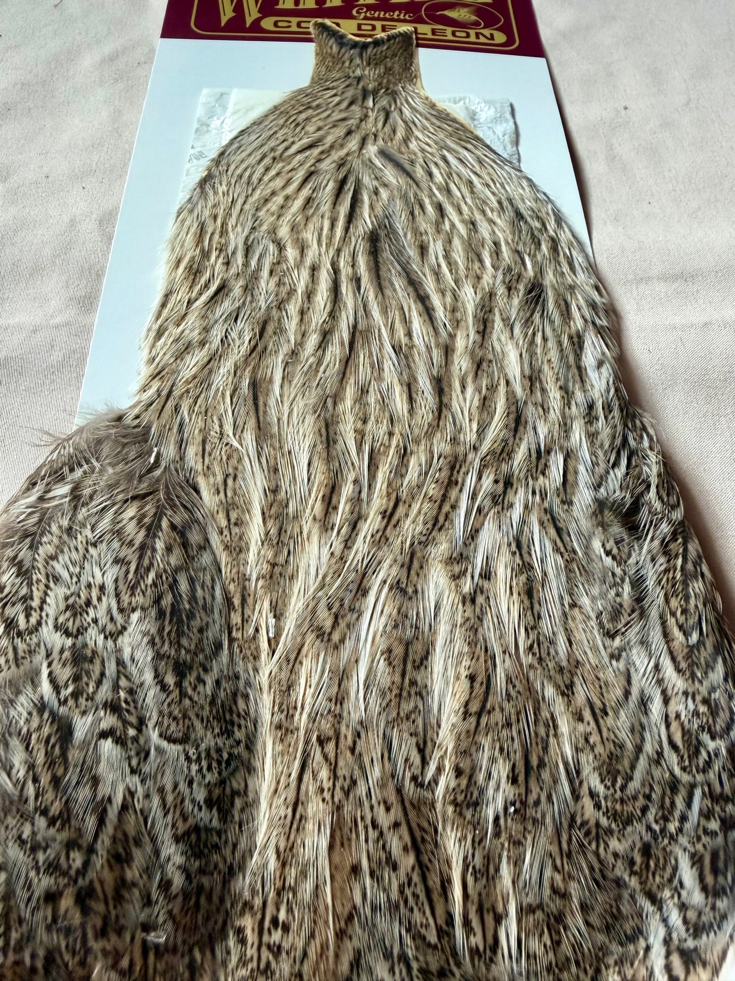 Whiting Farms Coq de Leon Retail Grade Hen Cape Brown Speckled 202-SH-E-L