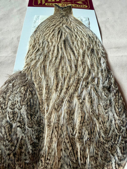 Whiting Farms Coq de Leon Retail Grade Hen Cape Brown Speckled 202-SH-E-L