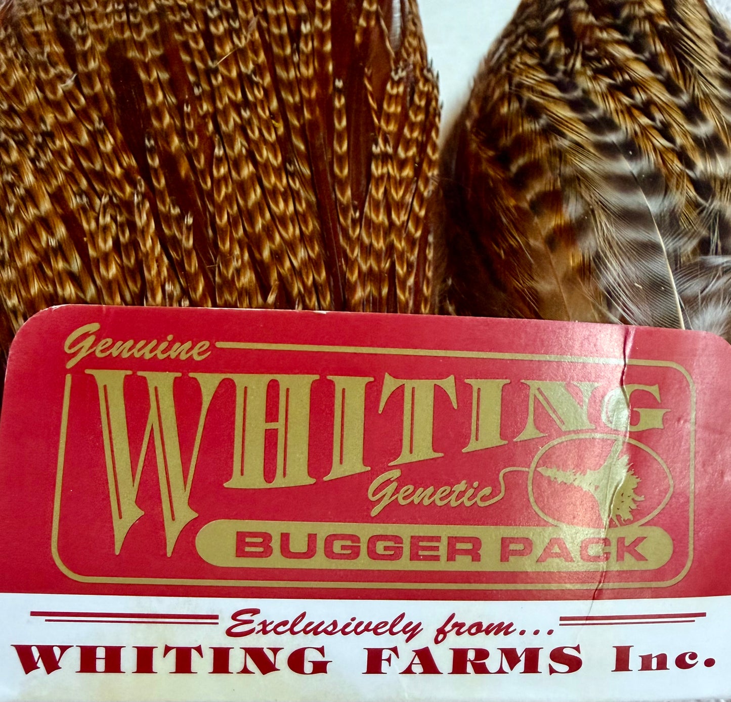 Whiting Bugger Pack Barred Dark Ginger 731-SH-E-L
