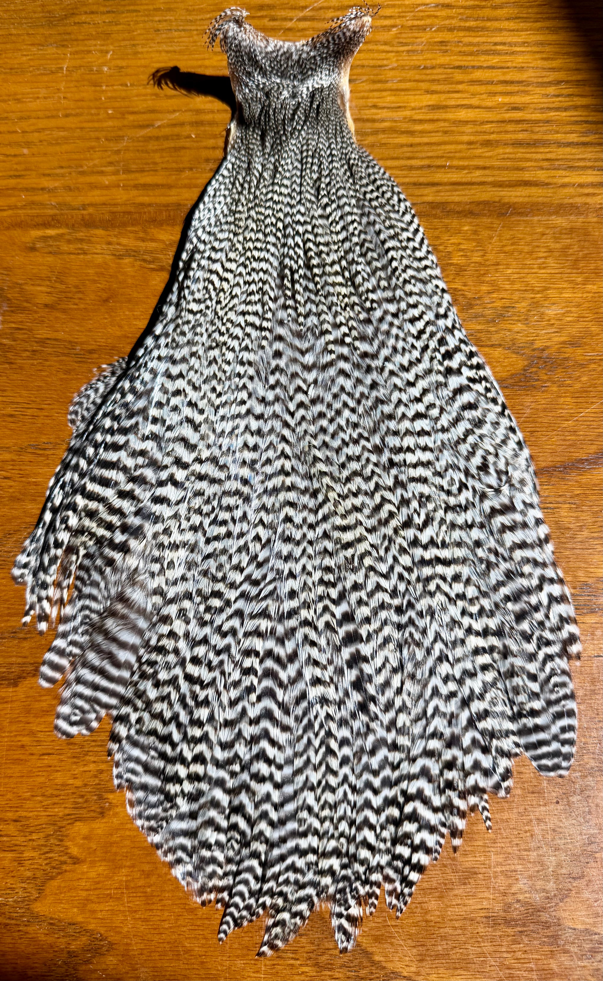 #1 Grizzly Cape 684-SH-E-L