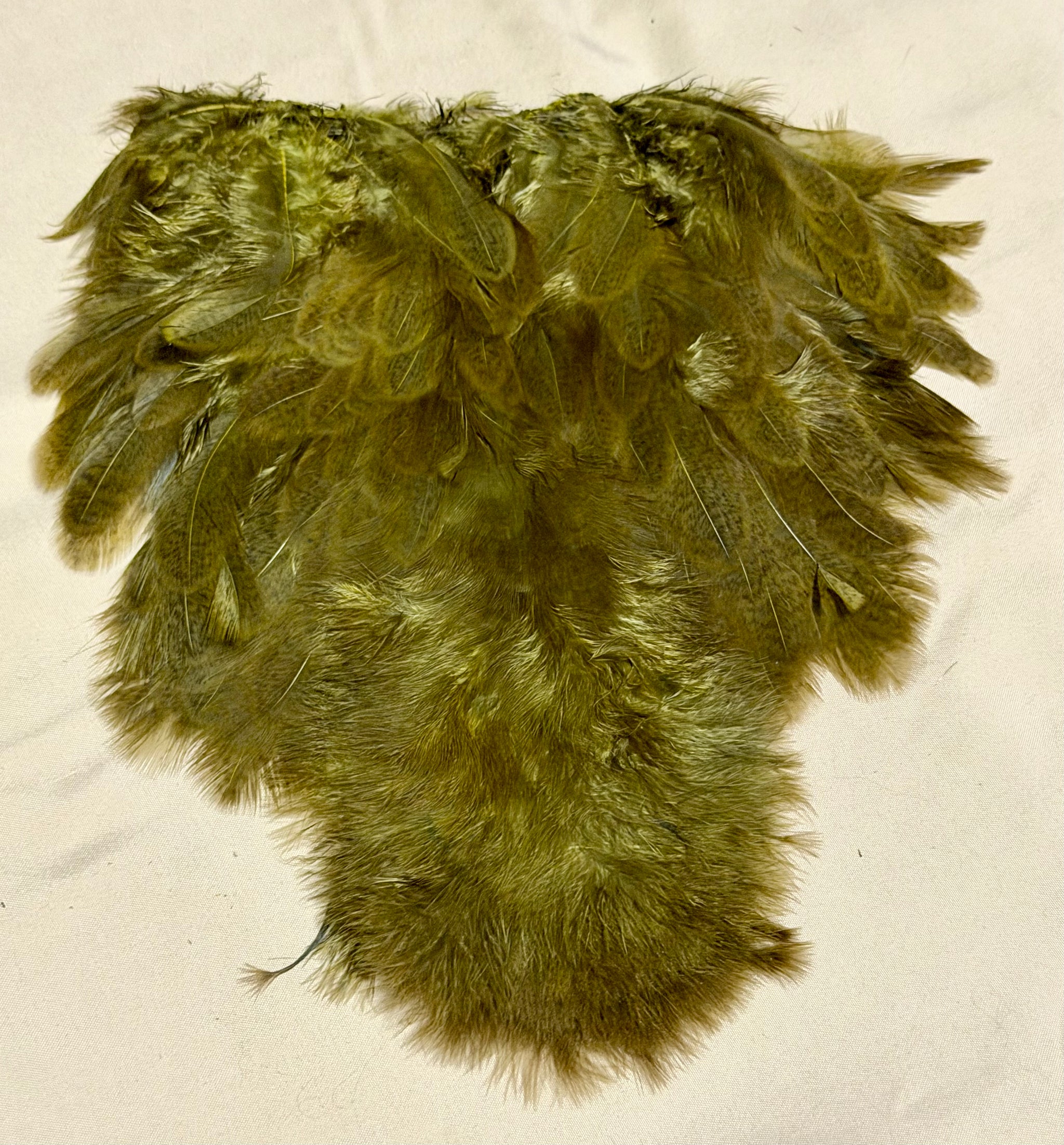 Whiting Farms Soft Hackle Brahma Hen Chickabou Pelt Mottled Gray dyed Dark Olive Speckled 218-SH-E-L