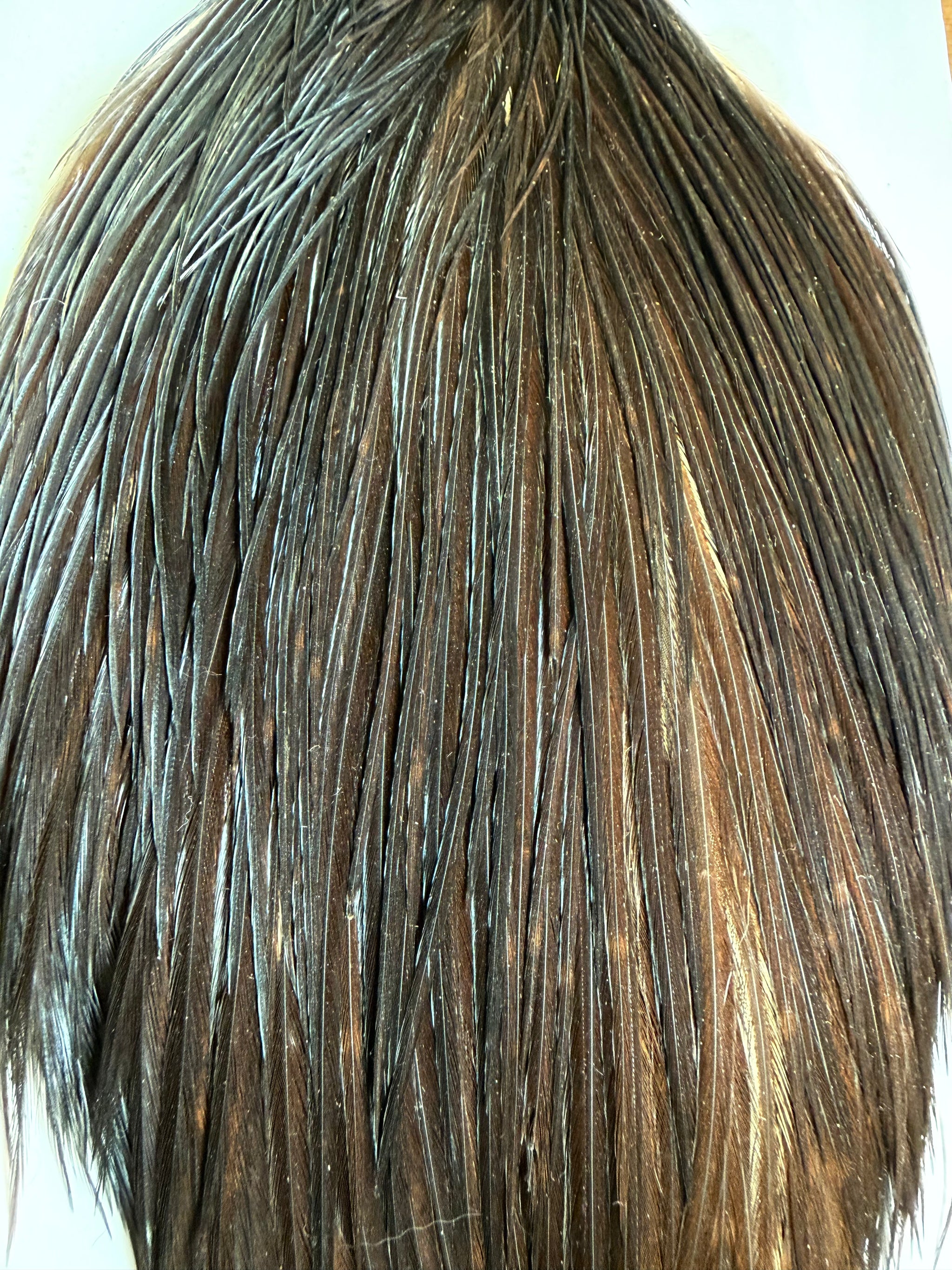 Whiting Farms Cape Dark Brassy 789-SH-E-L
