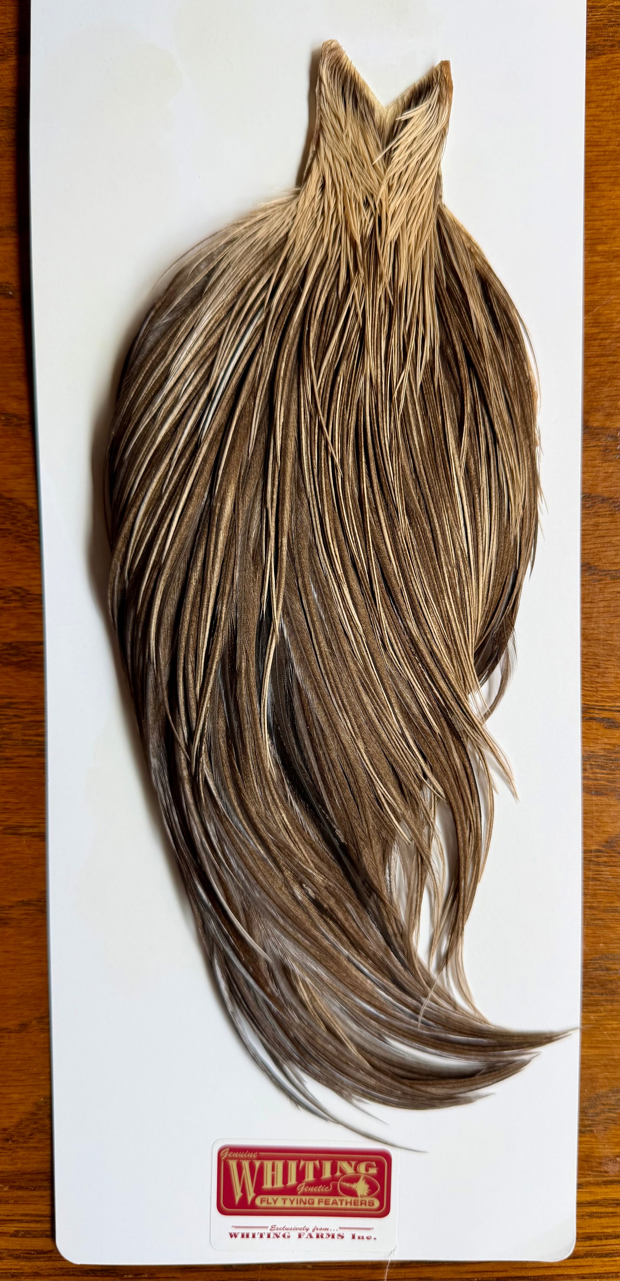 Whiting Farms Cape Unique Variant 691-SH-E-L