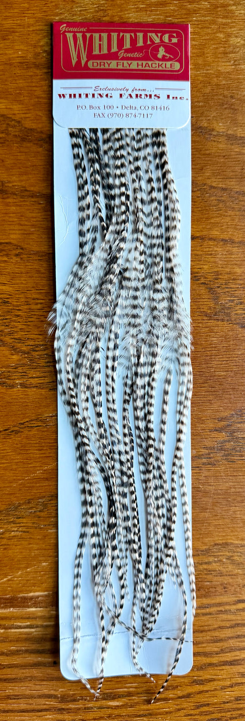 Whiting Dry Fly Hackle 100’s Size 6 Grizzly 821-SH-E-L