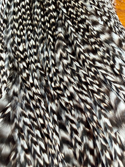 Collin’s Grade 1 Hackle Grizzly Cape And Hackle Set 739-SH-E-L