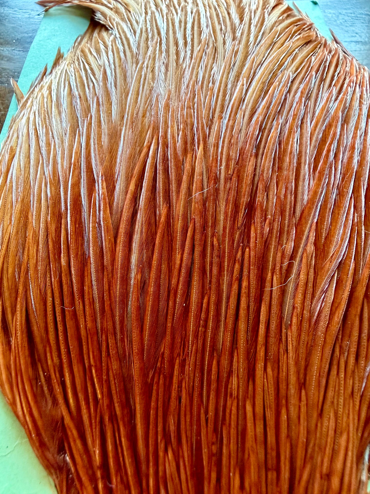 Shannon’s Fancy Hackle Grade 1 Cape Brown 559-SH-E-L