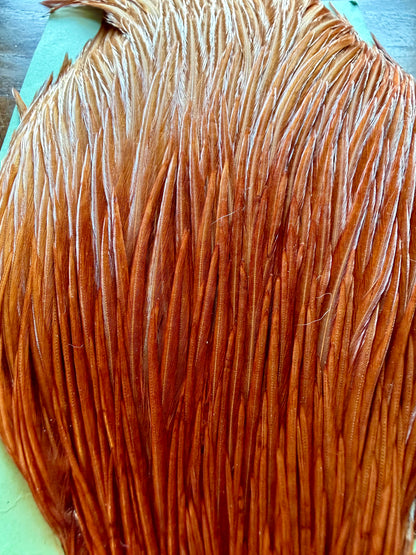 Shannon’s Fancy Hackle Grade 1 Cape Brown 559-SH-E-L