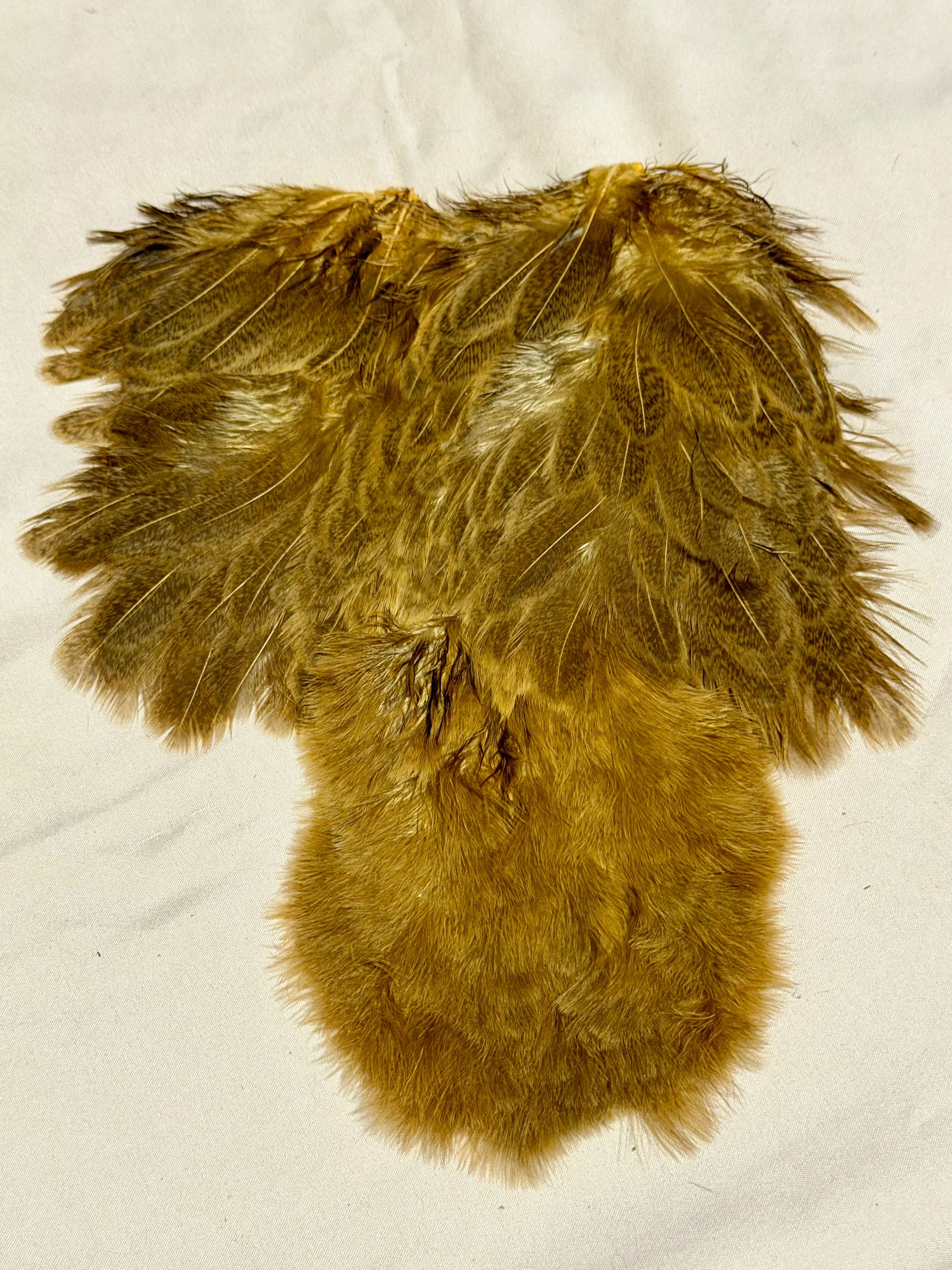 Whiting Farms Soft Hackle Brahma Hen Chickabou Pelt Mottled Gray dyed March Brown Speckled 220-SH-E-L