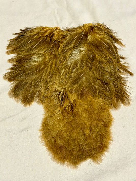 Whiting Farms Soft Hackle Brahma Hen Chickabou Pelt Mottled Gray dyed March Brown Speckled 220-SH-E-L