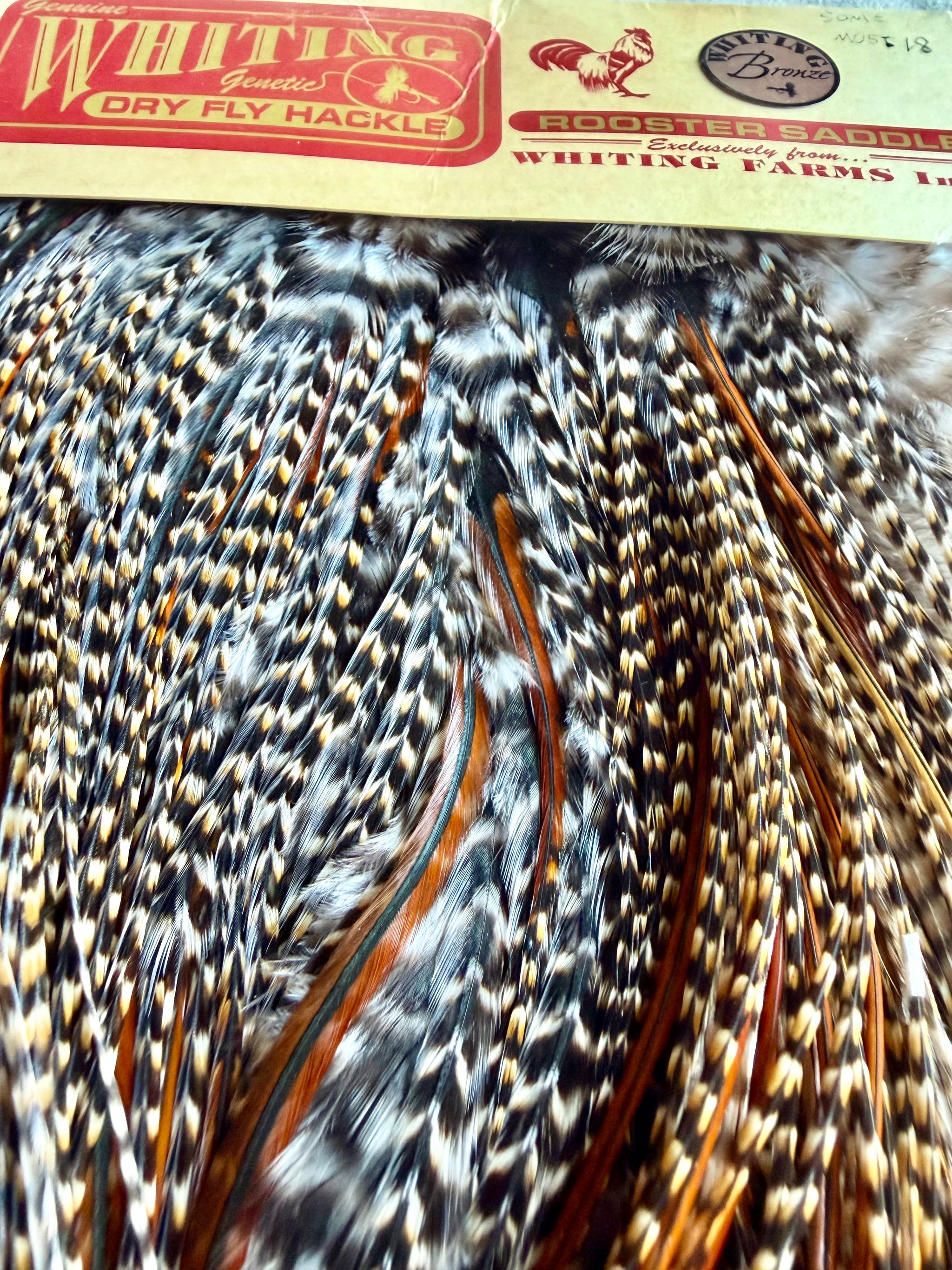 Whiting Bronze Rooster Saddle CREE 800-SH-E-L
