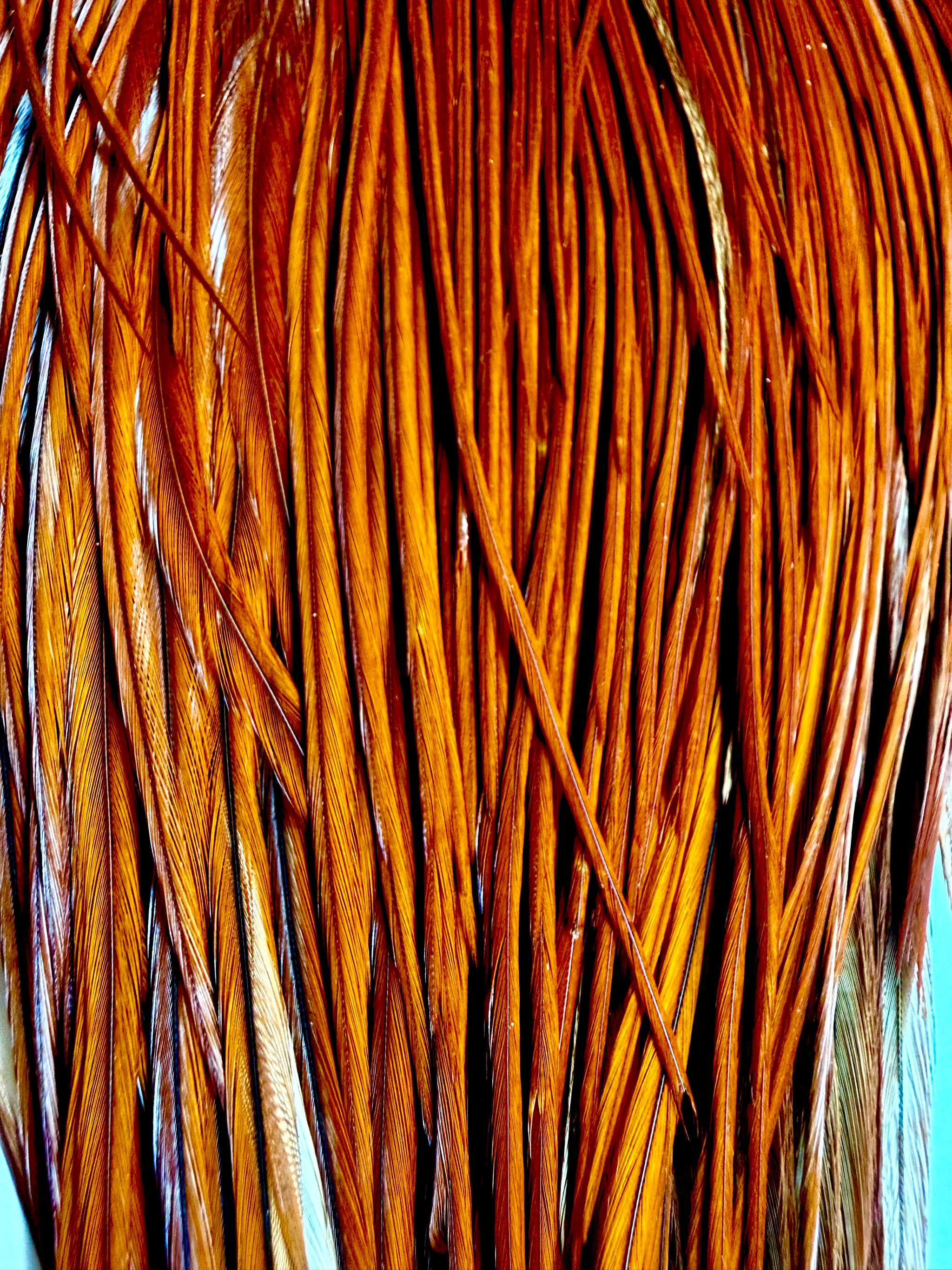 Whiting Gold Grade Rooster Cape Brown 803-SH-E-L