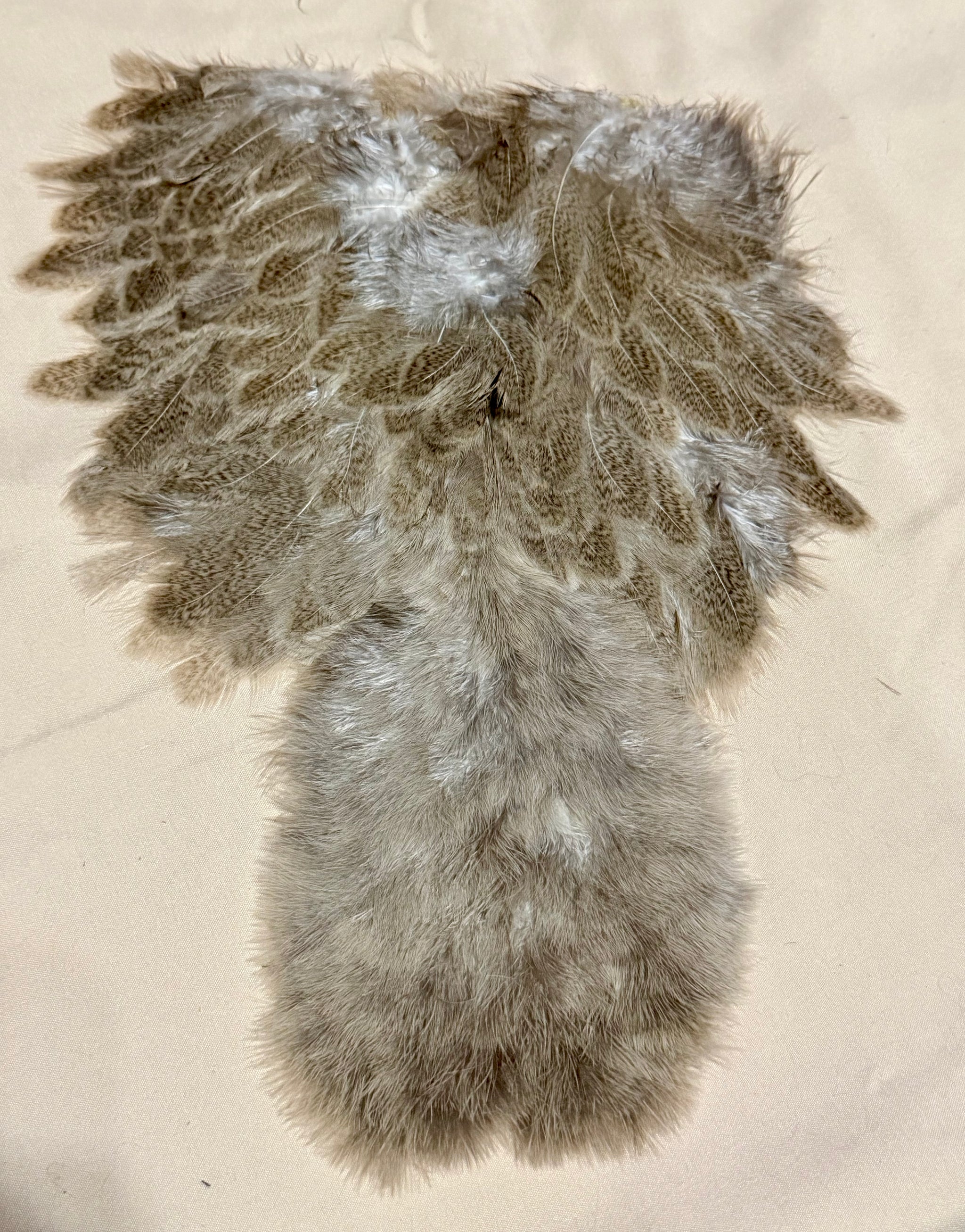 Whiting Farms Soft Hackle Brahma Hen Chickabou Pelt Natural Mottled Gray Wild Type 209-SH-E-L